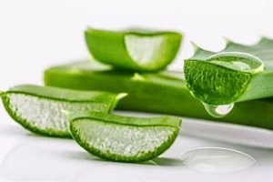 aloe za liječenje prostatitisa
