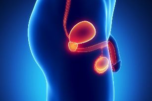 Upala prostate